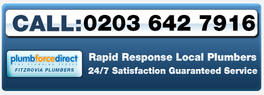 Click to call Fitzrovia Plumbers